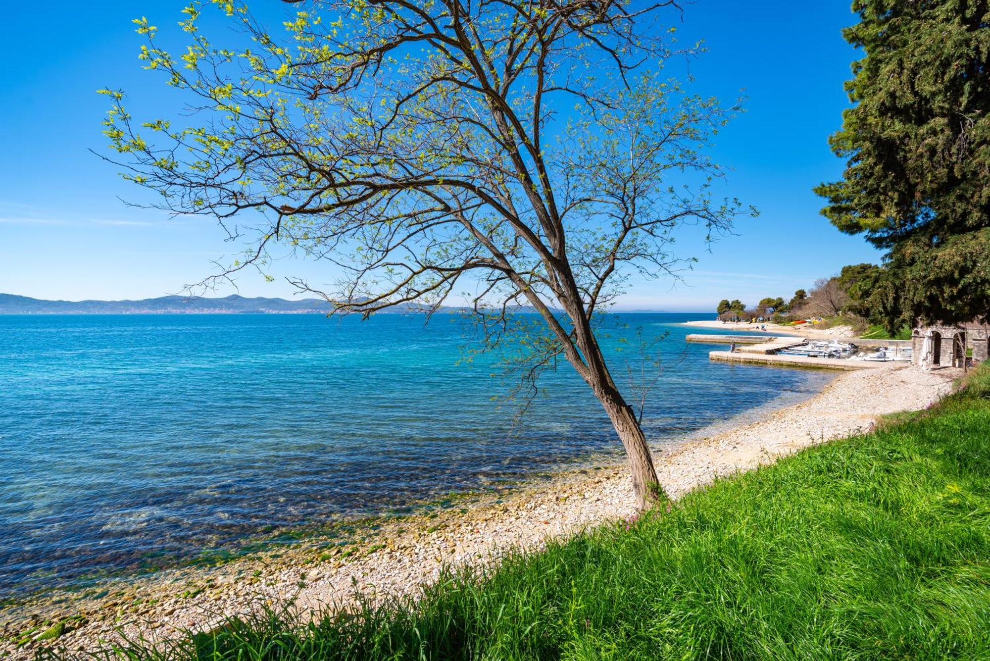 Kolovare Garden Oasis - First Row By Sea Apartment Zadar Ngoại thất bức ảnh